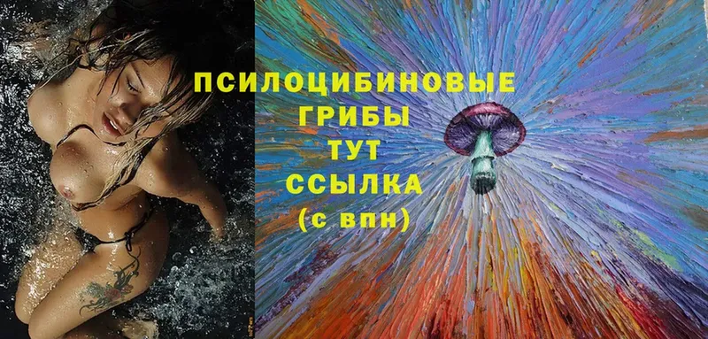 сайты даркнета состав  Жуковка  Псилоцибиновые грибы Psilocybine cubensis  наркошоп 